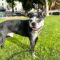 Shiloh